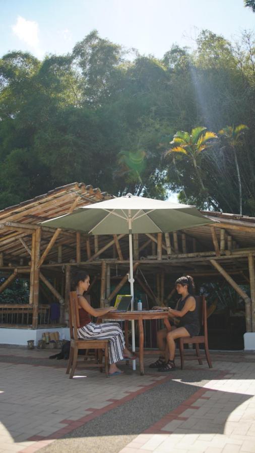 Finca La Argelia Quimbaya Luaran gambar