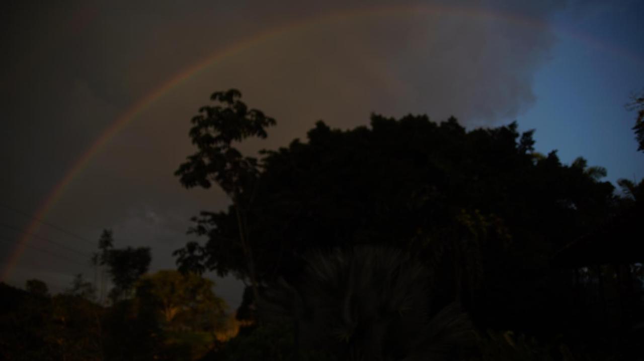 Finca La Argelia Quimbaya Luaran gambar