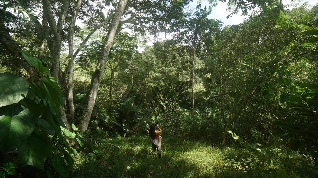 Finca La Argelia Quimbaya Luaran gambar