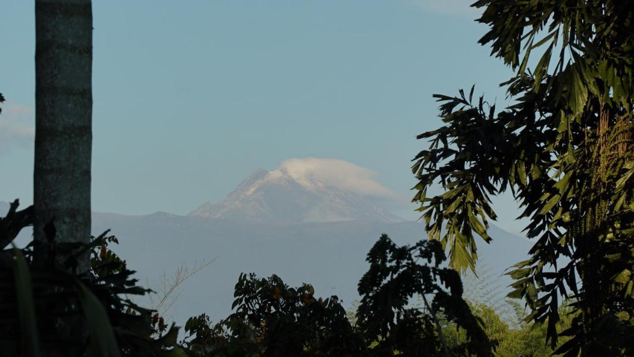 Finca La Argelia Quimbaya Luaran gambar