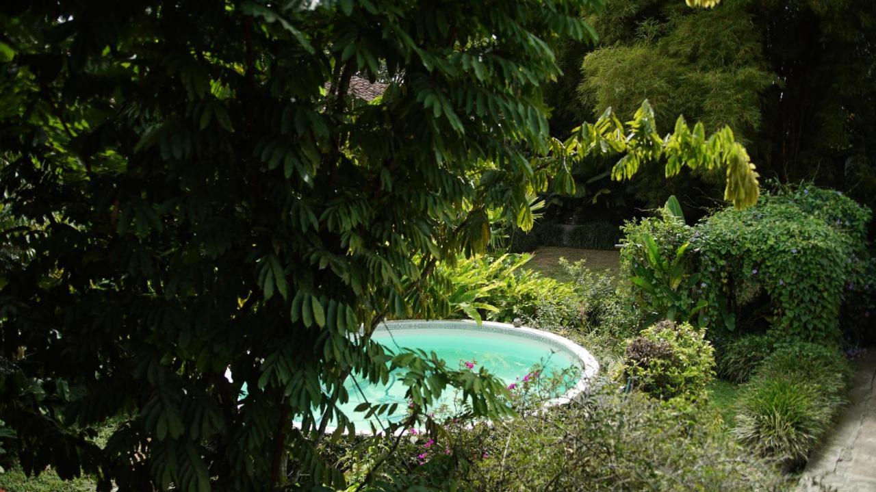 Finca La Argelia Quimbaya Luaran gambar